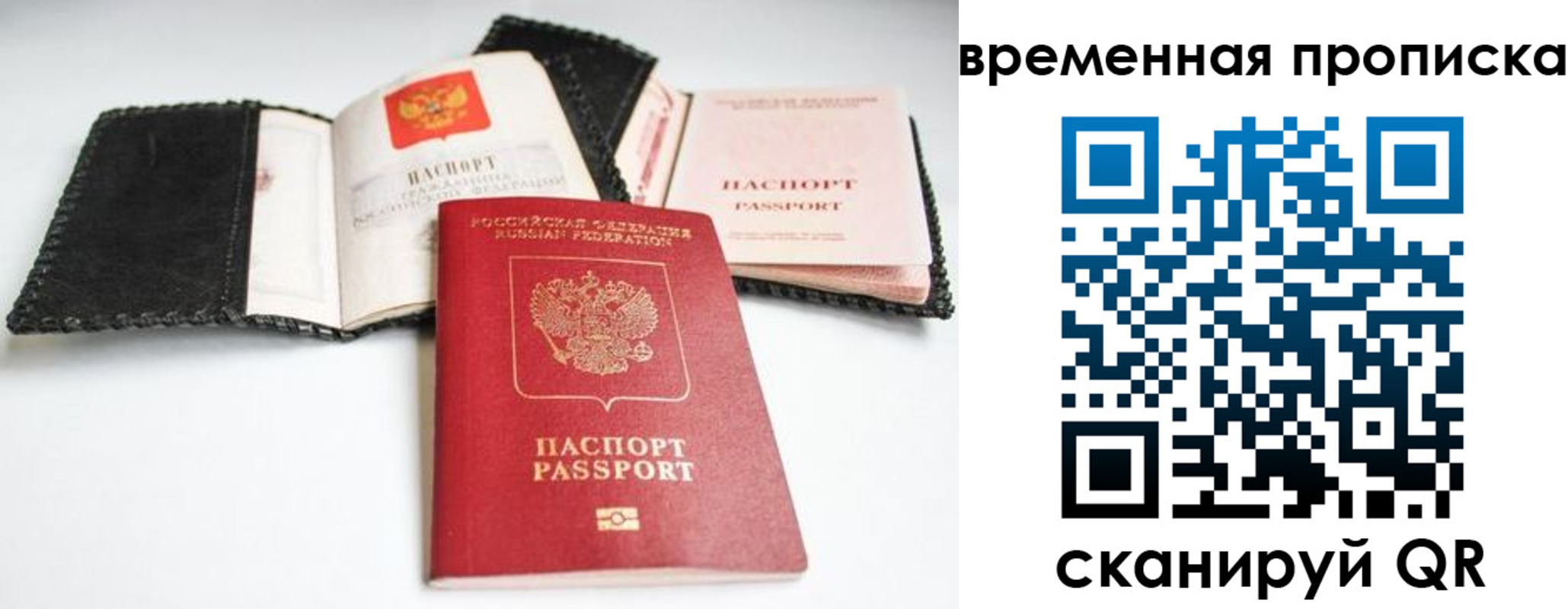 прописка для школы в Вяземском